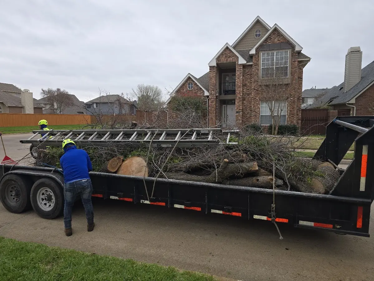 Expert Tree Removal with proper safety equipment in Pemberton